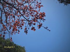 -铁路文化公园