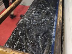 -活鱼馆(宜兴埠店)