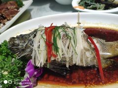 -小贝壳酒楼(经九路店)
