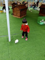 -萌宠亲子动物乐园(槐房万达店)