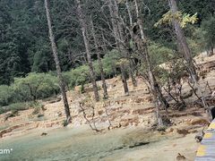 -黄龙山原始森林景区