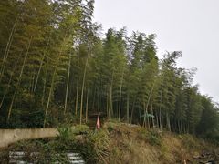 -老虎土菜馆·农家土菜