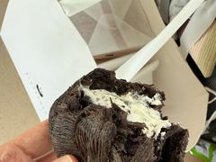 -BLACKSWAN黑天鹅(环球店)