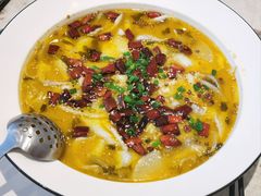 新中式椒麻鱼-火婆子·川小馆(扬韬科技广场店)