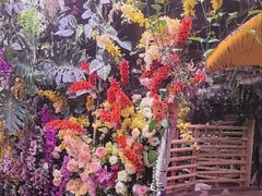 -正佳雨林生态植物园