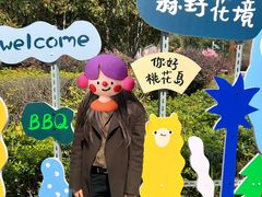 -金鸡湖桃花岛