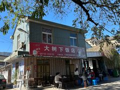 -大树下饭店(春晓镇慈岙社区卫生服务站南)