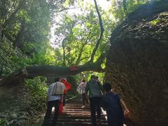 -窦圌山风景区