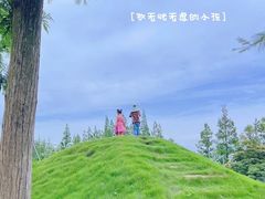 -上海长兴岛郊野公园