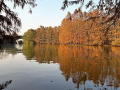 -上海海湾国家森林公园