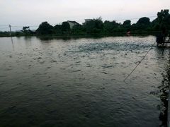 android_upload_pic-摩登有记·新派泰国菜(银钻广场店)