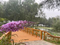 -东郊湿地公园