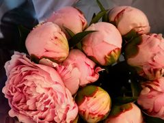 -循礼门鲜花花市(武汉循礼门店)