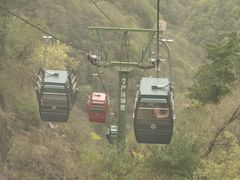 -王顺山国家森林公园
