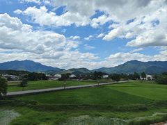 -黄牛肉馆·皖南土菜