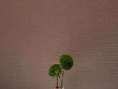 -张福记(五一公园店)