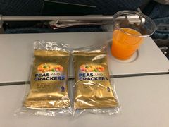 -新加坡航空公司(ION)