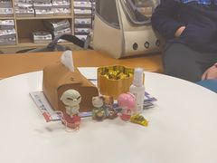 -申普宠物医院·心脏介入·心血管微创(总院)