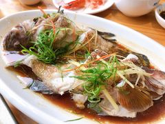 石斑鱼清蒸-八方海味餐厅