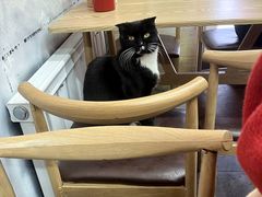 -陕西特色牛肉面