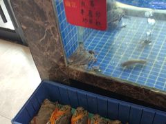 -501號台州海鲜餐厅(海创园店)