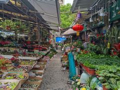 -曲阳花鸟市场(曲阳路店)
