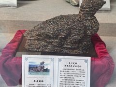 -延庆地质公园博物馆