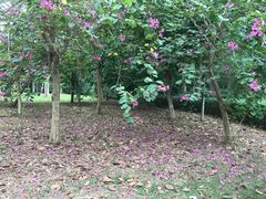 -白沙门生态公园