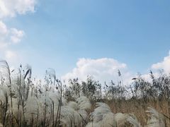 -芭提雅Amporn Seafood自助餐厅