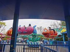 -上海海昌海洋公园