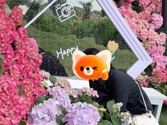 -荷兰花海