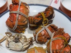 -杨氏青龙虾·羊肉季(金盛路总店)
