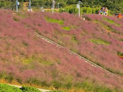 -沂蒙云瀑洞天景区