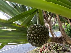 -江门古兜温泉小镇
