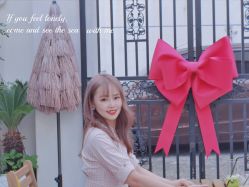 -IDOL-PLUS