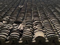 -长兴菜馆(高桥店)