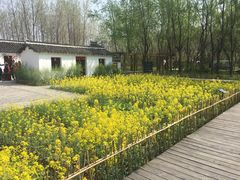 -溱湖国家湿地公园