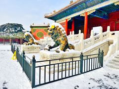 -故宫博物院(故宫)