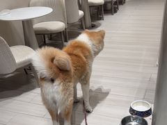 -YCHL Studios健身工作室(市二宫店)