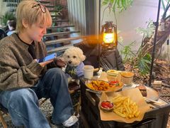 -J Create城市露营咖啡·简餐·宠物(上海动物园店)