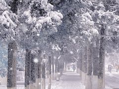 -东北大学(南湖校区)