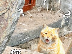 -水峪民俗村