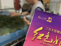 -三亚红色娘子军演艺公园景区