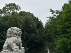 -同里国家湿地公园