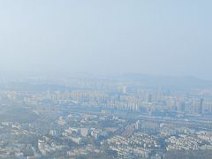 -紫金山山顶公园