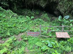 -海口火山口国家地质公园