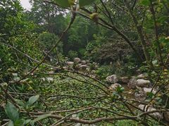-富乐山