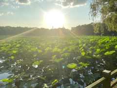 -长春市南湖公园