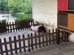 -诸暨同方豪生大酒店