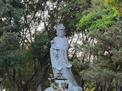 -厦门园林博览苑